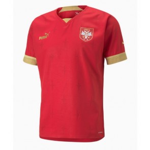 Maillot de foot Serbie Domicile Monde 2022 Manches Courte